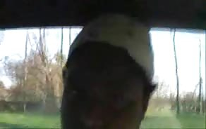 porno tube Ebony BBW  With Huge Tit&#039;s Giving Head